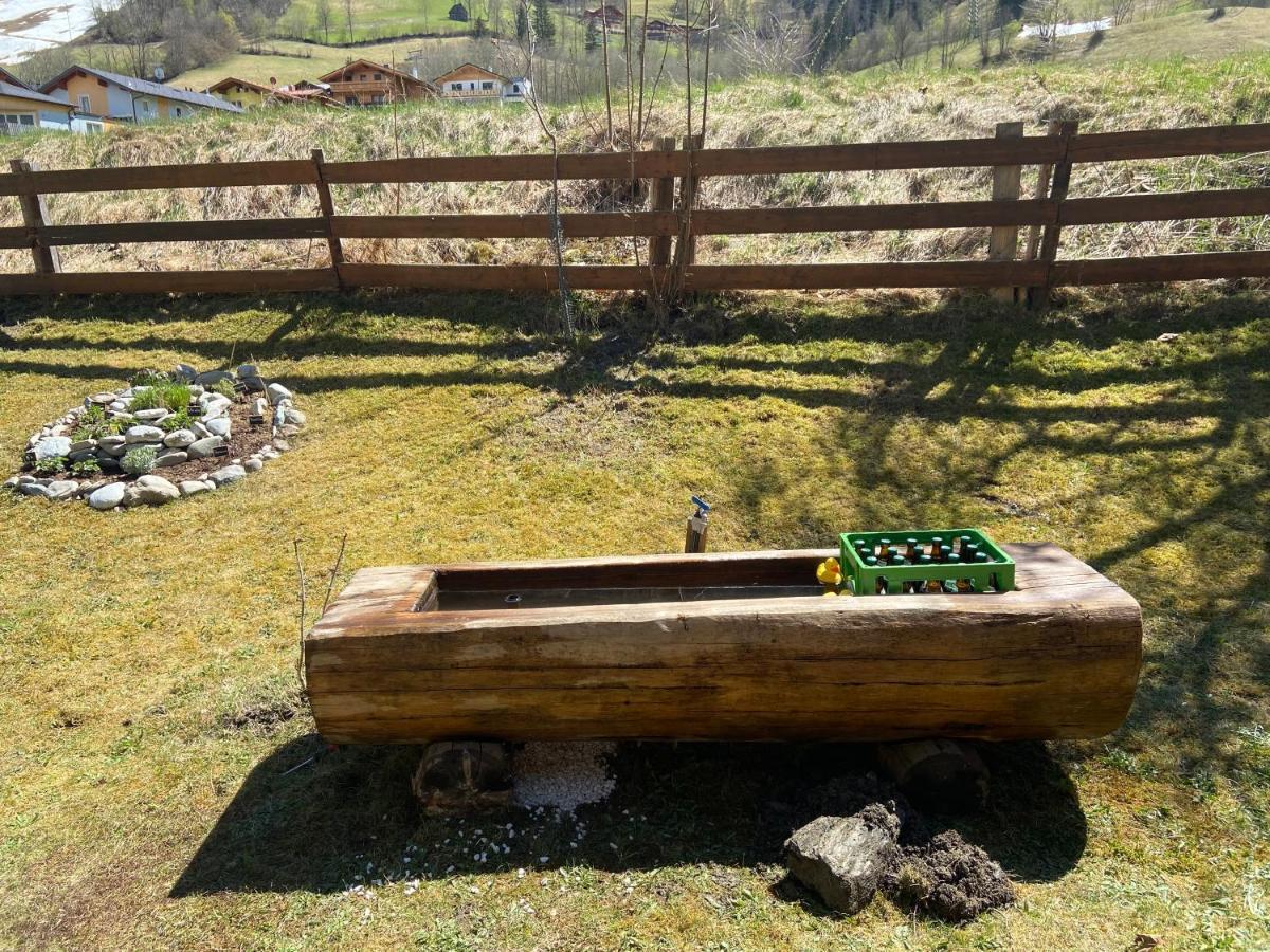 Pension Mitterwallner Schladming Zewnętrze zdjęcie