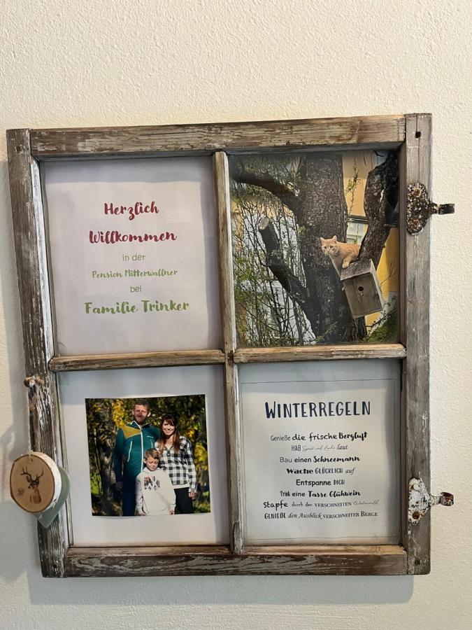 Pension Mitterwallner Schladming Zewnętrze zdjęcie